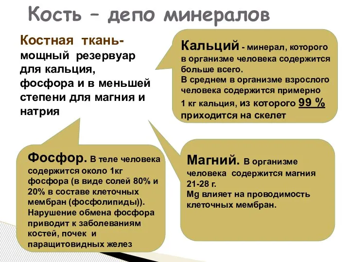 Костная ткань- мощный резервуар для кальция, фосфора и в меньшей степени для