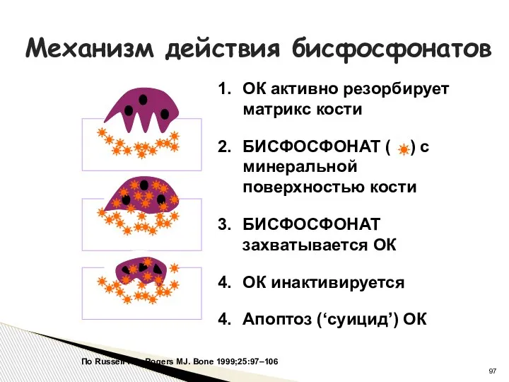 Механизм действия бисфосфонатов По Russell RG, Rogers MJ. Bone 1999;25:97–106 ОК активно