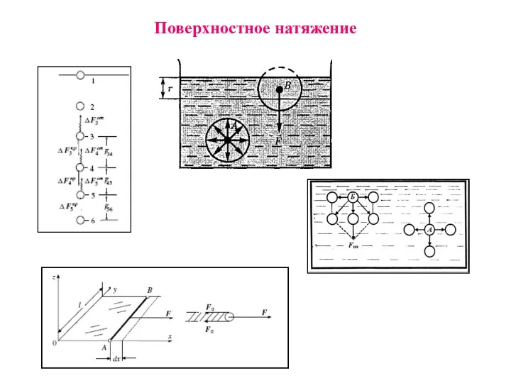 Поверхностное натяжение