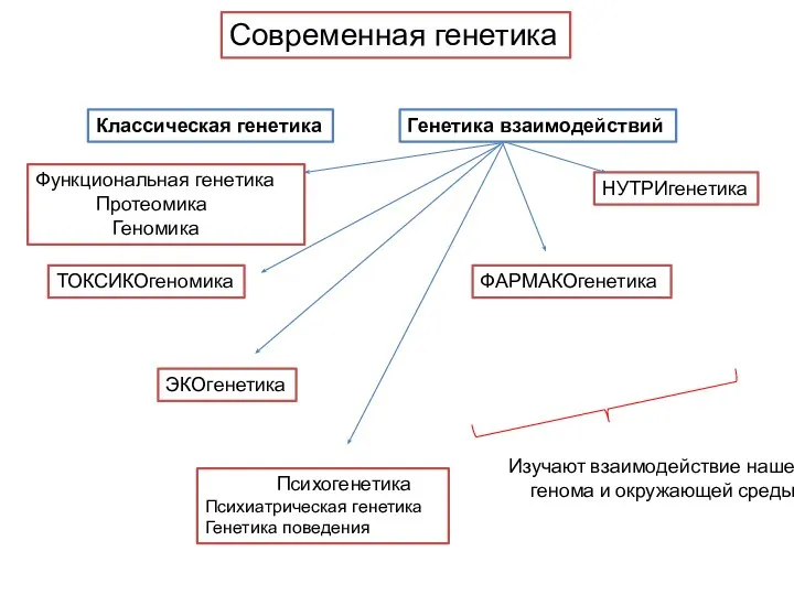 ФАРМАКОгенетика Современная генетика Классическая генетика Генетика взаимодействий ТОКСИКОгеномика ЭКОгенетика Психогенетика Психиатрическая генетика