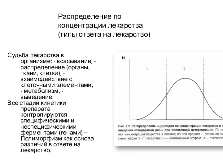 Распределение по концентрации лекарства (типы ответа на лекарство) Судьба лекарства в организме: