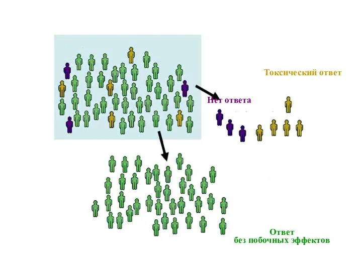 Токсический ответ Нет ответа Ответ без побочных эффектов