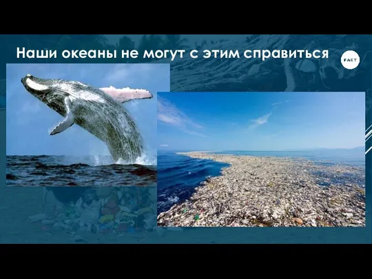 Наши океаны не могут с этим справиться