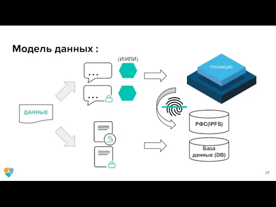 Модель данных : РФС(IPFS) База данных (DB) ... ... ДАННЫЕ (И/ИЛИ)