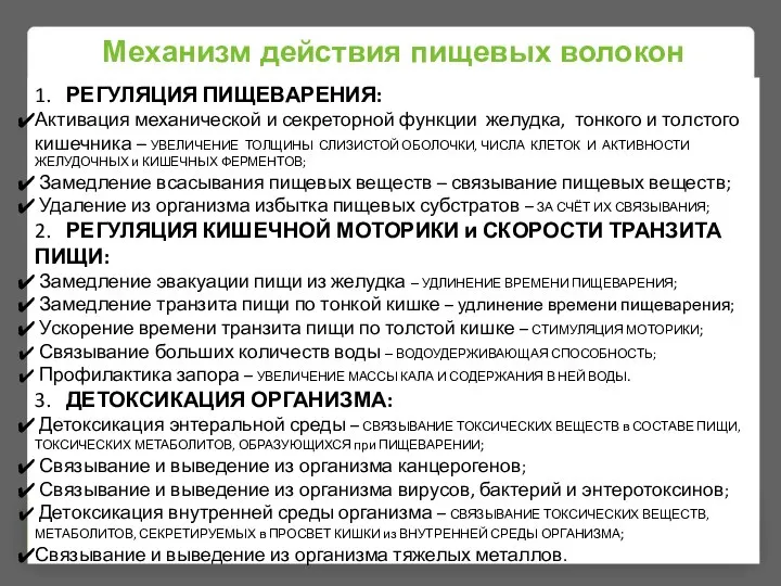 Механизм действия пищевых волокон 1. РЕГУЛЯЦИЯ ПИЩЕВАРЕНИЯ: Активация механической и секреторной функции