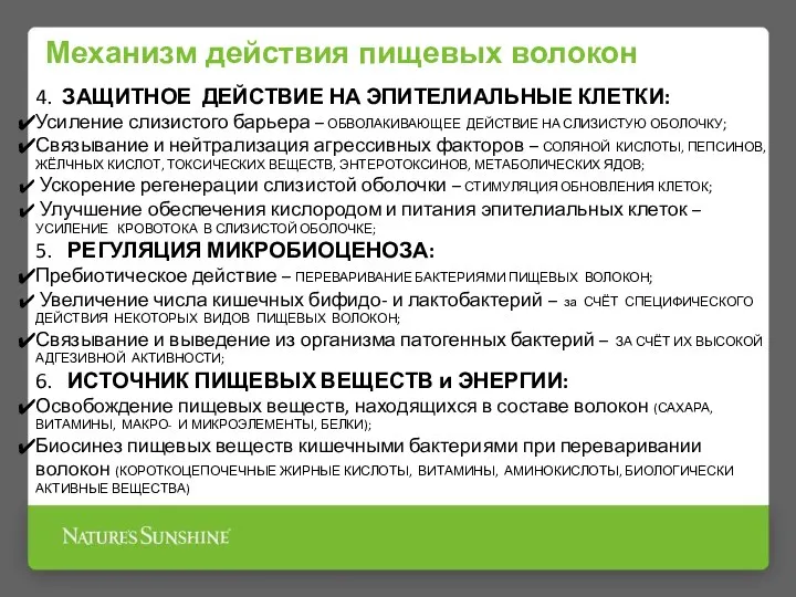 Механизм действия пищевых волокон 4. ЗАЩИТНОЕ ДЕЙСТВИЕ НА ЭПИТЕЛИАЛЬНЫЕ КЛЕТКИ: Усиление слизистого