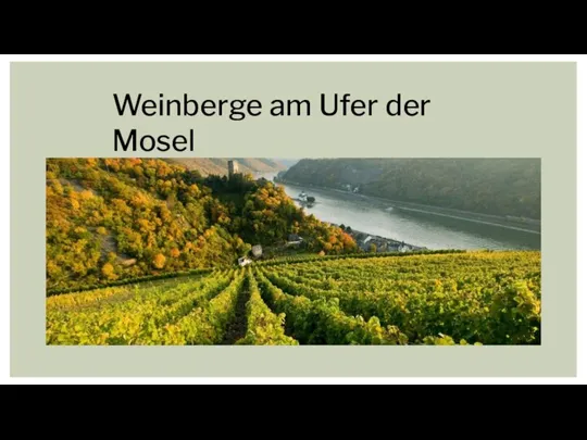 Weinberge am Ufer der Mosel