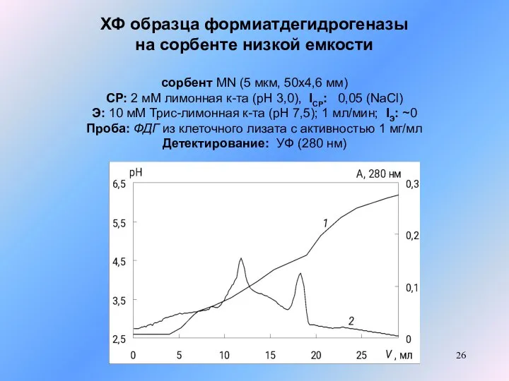 ХФ образца формиатдегидрогеназы на сорбенте низкой емкости сорбент MN (5 мкм, 50x4,6