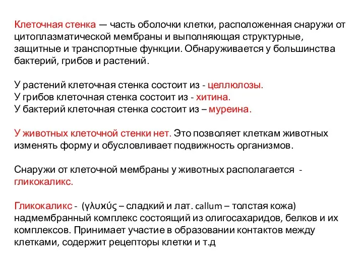 Клеточная стенка — часть оболочки клетки, расположенная снаружи от цитоплазматической мембраны и