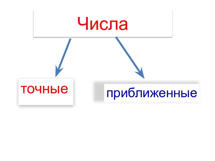 Числа точные приближенные