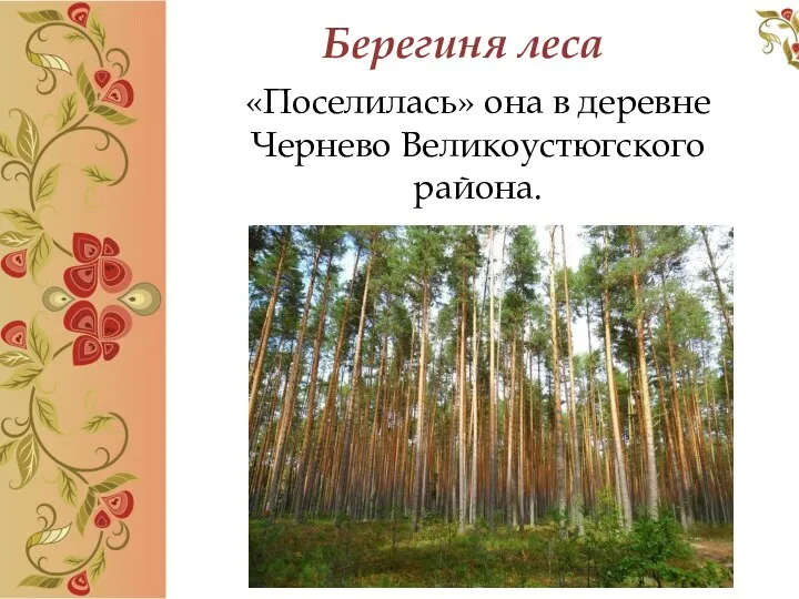 Берегиня леса «Поселилась» она в деревне Чернево Великоустюгского района.