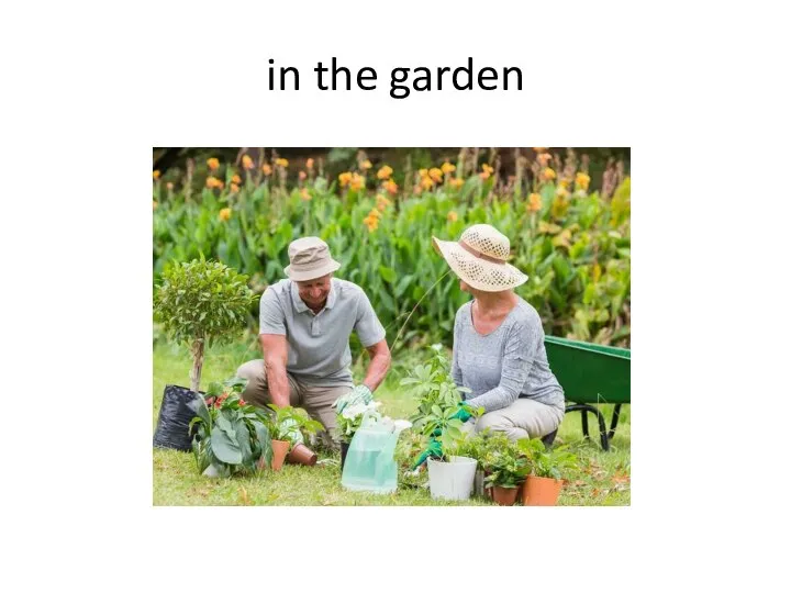 in the garden