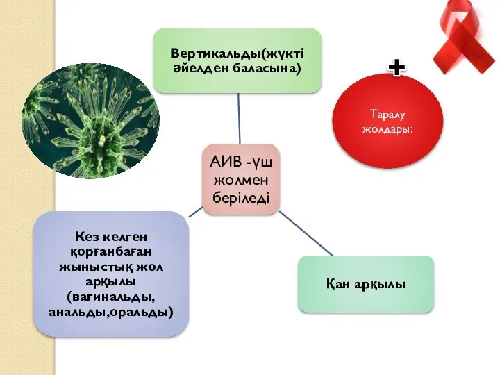 Таралу жолдары: