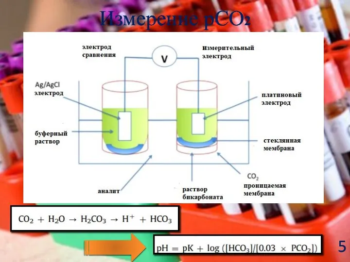 Измерение рСО2