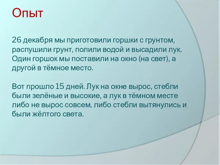 Опыт 26 декабря мы приготовили горшки с грунтом, распушили грунт, полили водой