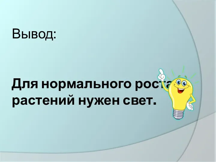 Вывод: Для нормального роста растений нужен свет.