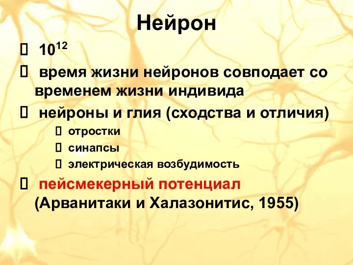 Нейрон 1012 время жизни нейронов совподает со временем жизни индивида нейроны и