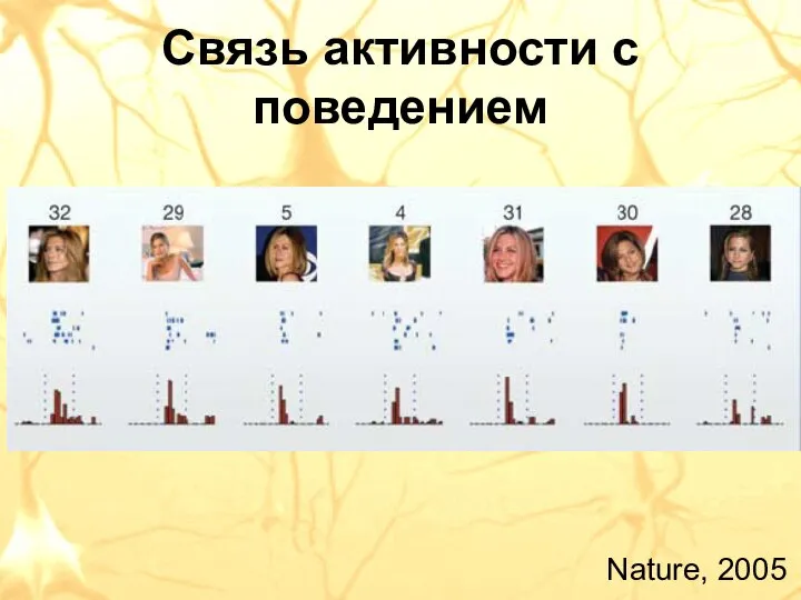 Связь активности с поведением Nature, 2005