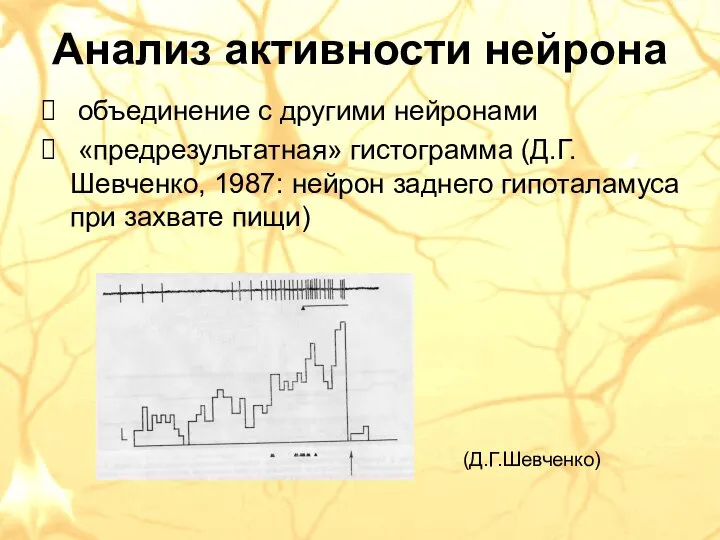 Анализ активности нейрона объединение с другими нейронами «предрезультатная» гистограмма (Д.Г. Шевченко, 1987: