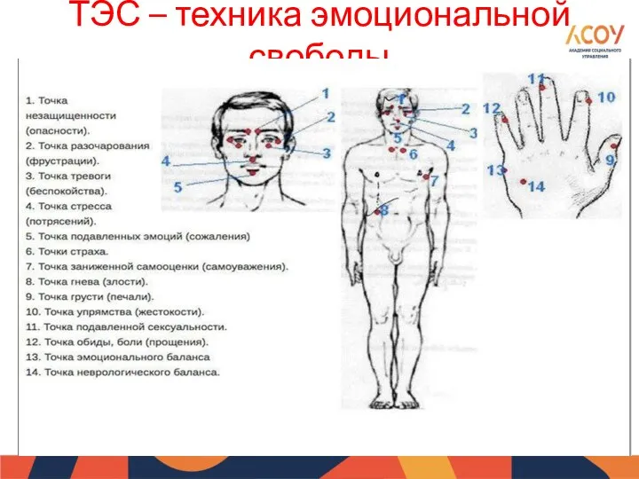 ТЭС – техника эмоциональной свободы