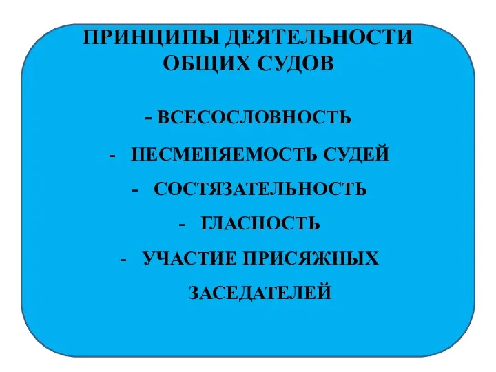 ПРИНЦИПЫ ДЕЯТЕЛЬНОСТИ ОБЩИХ СУДОВ - ВСЕСОСЛОВНОСТЬ НЕСМЕНЯЕМОСТЬ СУДЕЙ СОСТЯЗАТЕЛЬНОСТЬ ГЛАСНОСТЬ УЧАСТИЕ ПРИСЯЖНЫХ ЗАСЕДАТЕЛЕЙ