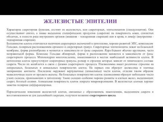 ЖЕЛЕЗИСТЫЕ ЭПИТЕЛИИ Характерна секреторная функция, состоит из железистых, или секреторных, эпителиоцитов (гландулоцитов).