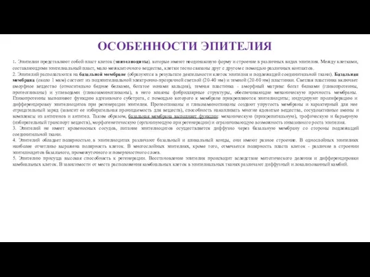 ОСОБЕННОСТИ ЭПИТЕЛИЯ 1. Эпителии представляют собой пласт клеток (эпителиоциты), которые имеют неодинаковую