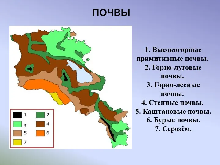 ПОЧВЫ 1. Высокогорные примитивные почвы. 2. Горно-луговые почвы. 3. Горно-лесные почвы. 4.