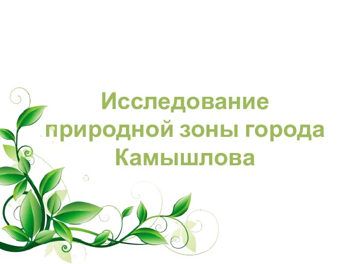 Исследование природной зоны города Камышлова