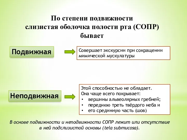 По степени подвижности слизистая оболочка полости рта (СОПР) бывает Подвижная Неподвижная Совершает