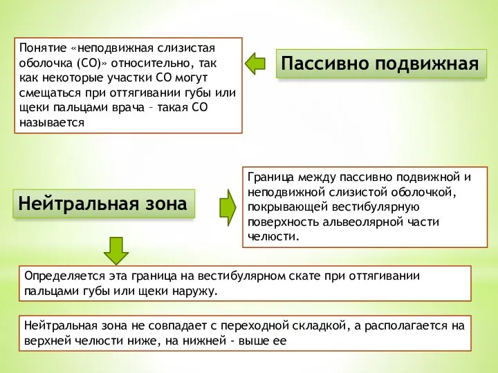 Понятие «неподвижная слизистая оболочка (СО)» относительно, так как некоторые участки СО могут