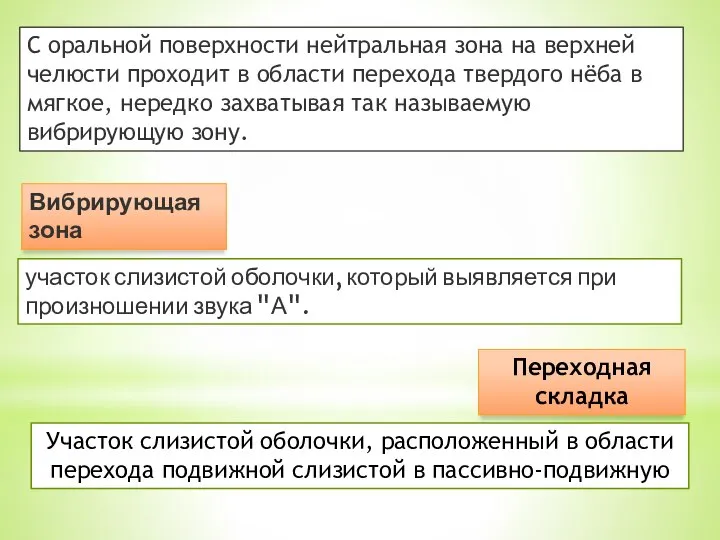 Участок слизистой оболочки, расположенный в области перехода подвижной слизистой в пассивно-подвижную Переходная