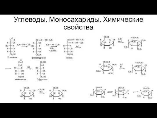 Углеводы. Моносахариды. Химические свойства