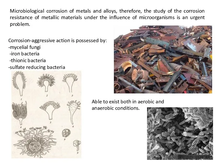 Microbiological corrosion of metals and alloys, therefore, the study of the corrosion