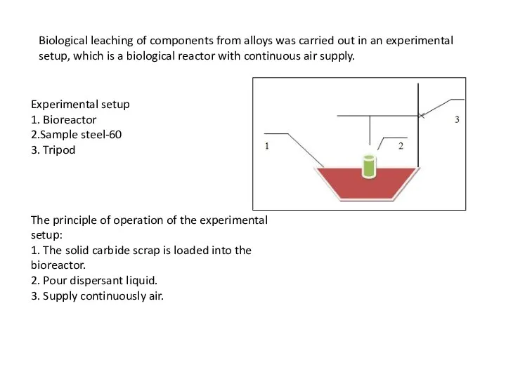 Biological leaching of components from alloys was carried out in an experimental