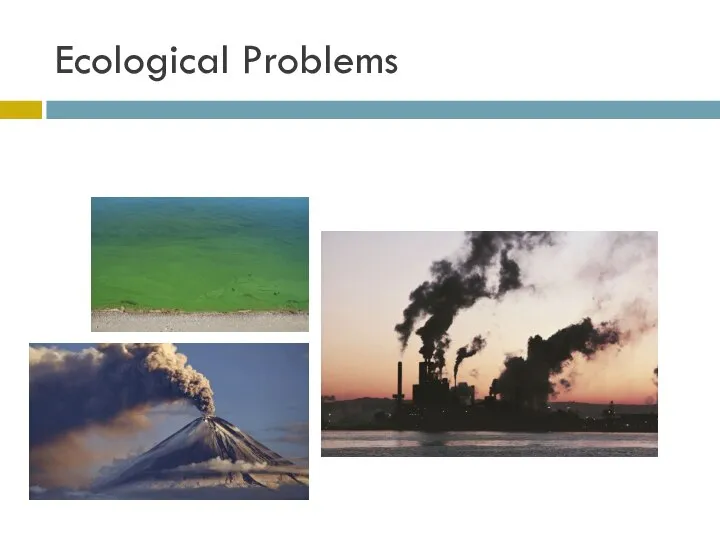 Ecological Problems