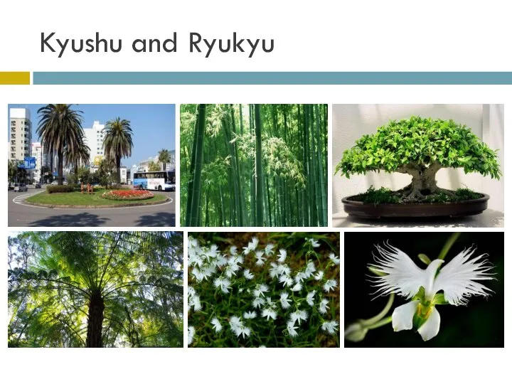 Kyushu and Ryukyu