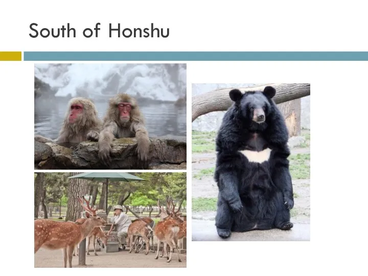 South of Honshu