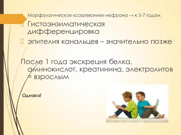 Морфологическое «созревание» нефрона → к 5-7 годам Гистоэнзиматическая дифференцировка эпителия канальцев –