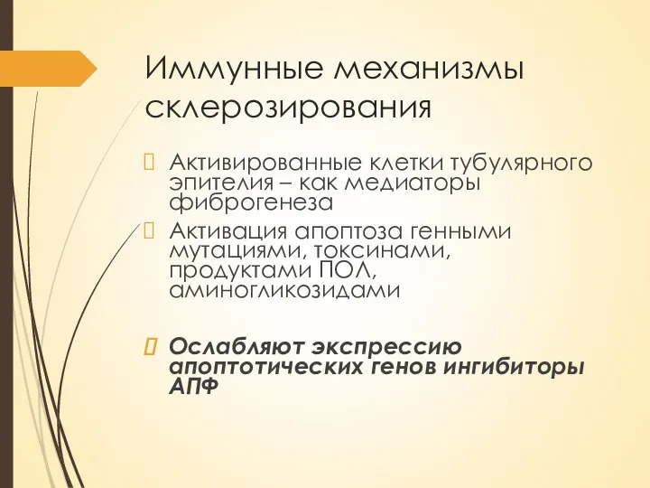 Иммунные механизмы склерозирования Активированные клетки тубулярного эпителия – как медиаторы фиброгенеза Активация