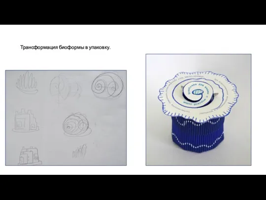 Трансформация биоформы в упаковку.