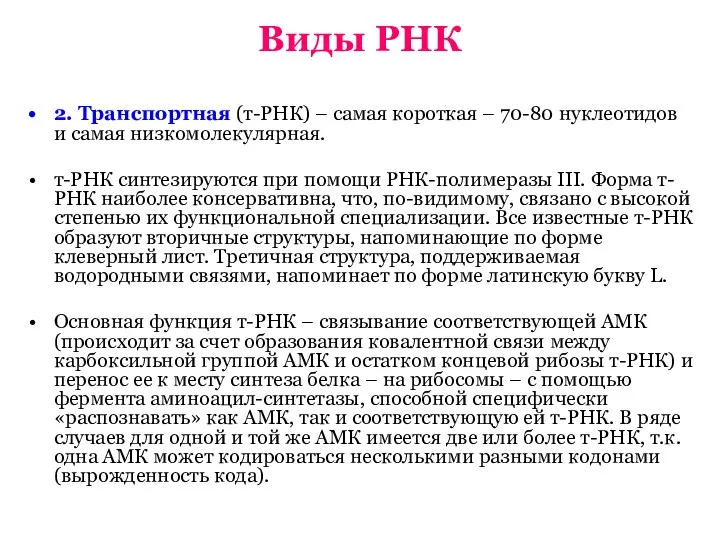 Виды РНК 2. Транспортная (т-РНК) – самая короткая – 70-80 нуклеотидов и