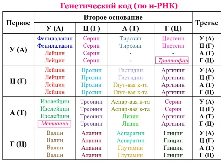 Генетический код (по и-РНК)