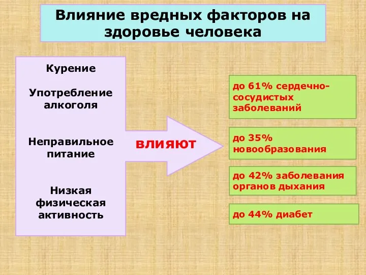 Влияние вредных факторов на здоровье человека Курение Употребление алкоголя Неправильное питание Низкая