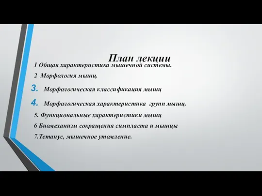 План лекции 1 Общая характеристика мышечной системы. 2 Морфология мышц. Морфологическая классификация