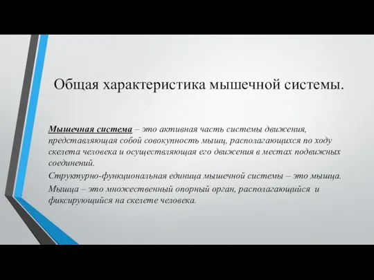 Общая характеристика мышечной системы. Мышечная система – это активная часть системы движения,