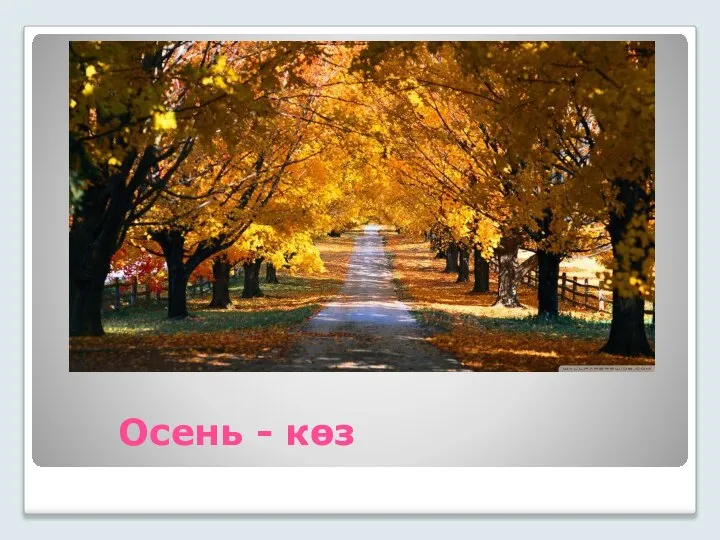 Осень - көз