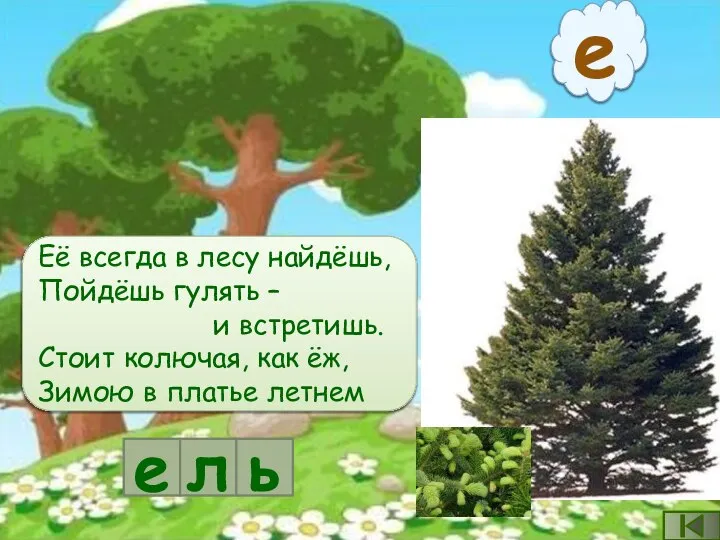 е Её всегда в лесу найдёшь, Пойдёшь гулять – и встретишь. Стоит