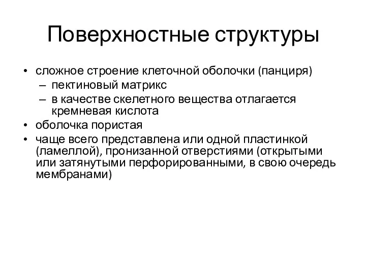 Поверхностные структуры сложное строение клеточной оболочки (панциря) пектиновый матрикс в качестве скелетного