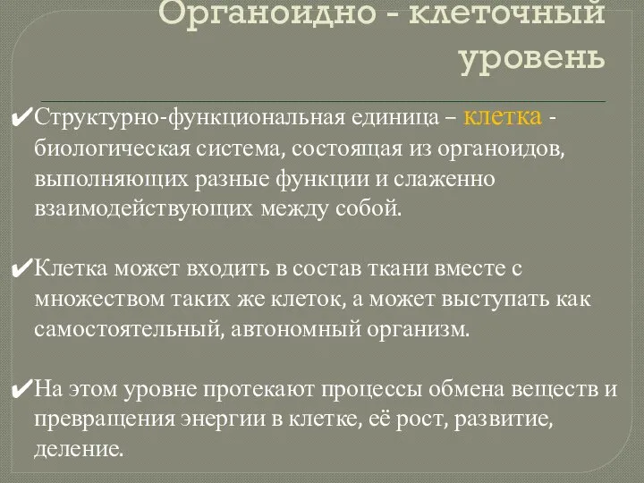 Органоидно - клеточный уровень Структурно-функциональная единица – клетка - биологическая система, состоящая